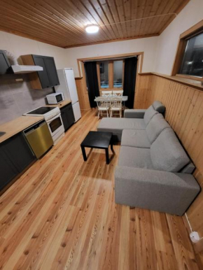 One Bedroom Apartment Kjeller Lillestrøm -2mins from OSLOMET